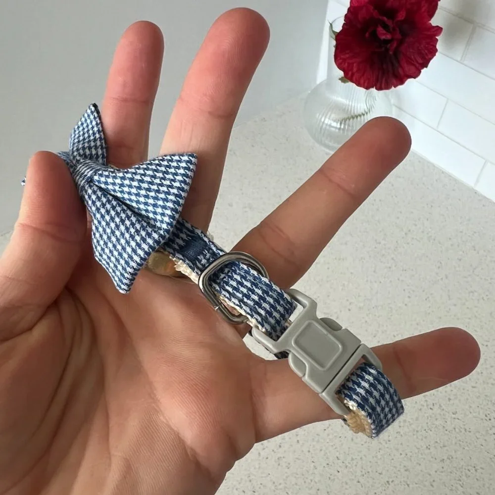 pet bowtie collar
